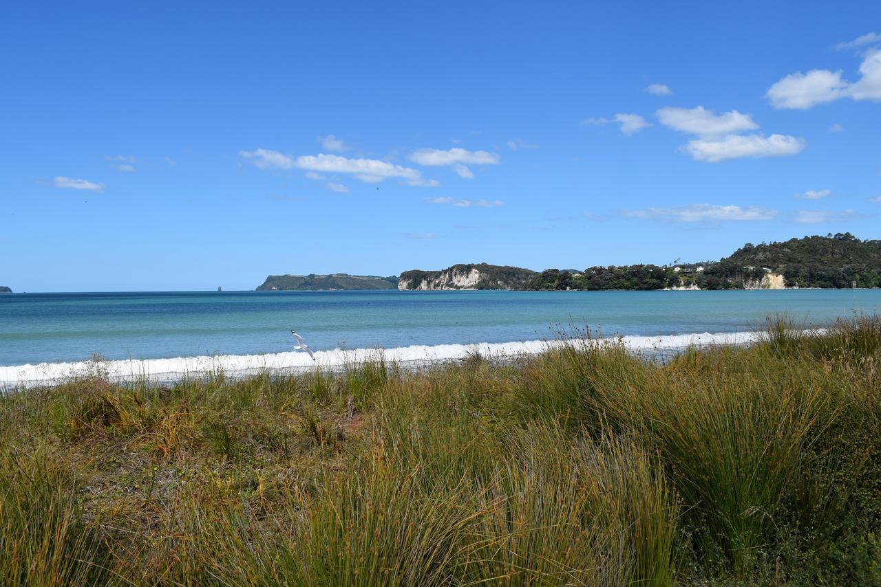 Paradise In Whitianga B&B Wells Place Exterior foto